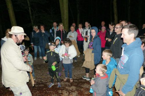 Une chasse nocturne au Darou décalée est organisée à Xertigny