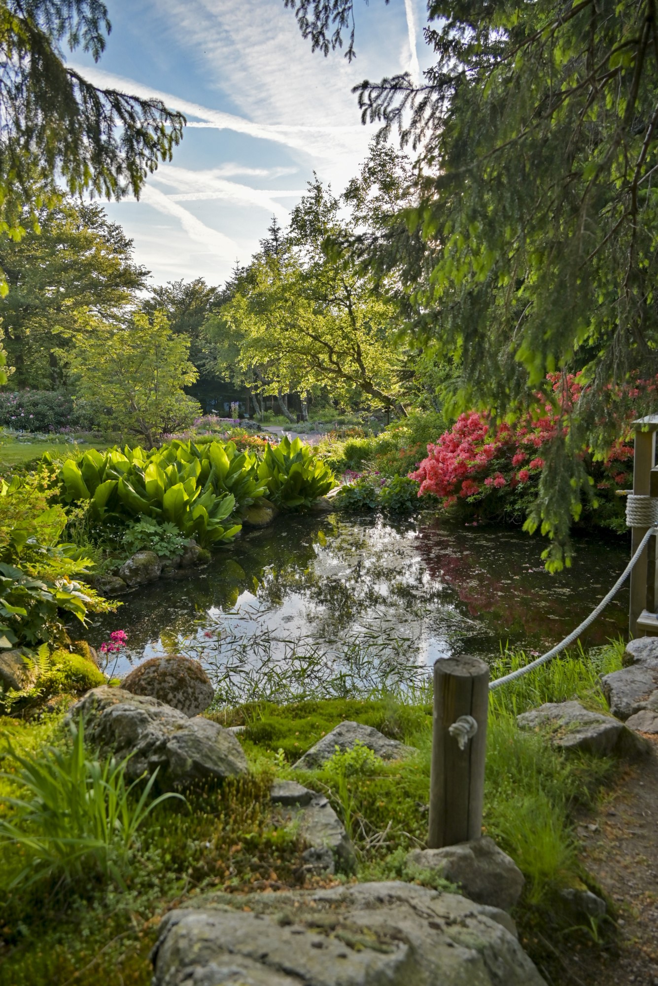 Le Jardin d'altitude du Haut Chitelet.