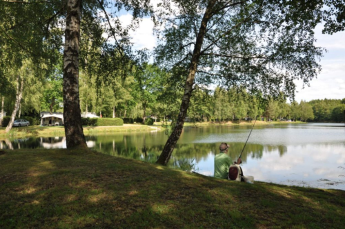 Distinction : Le Camping du Domaine des Messires à Herpelmont distingué par le site Allovoyages.fr