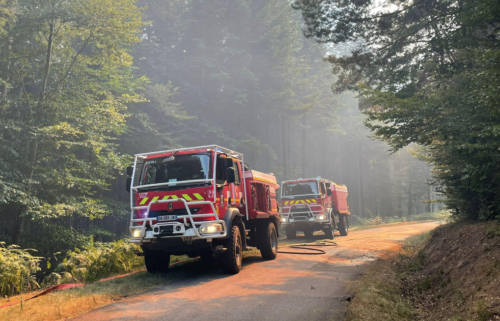Feux de forêt : le ministre de l'Intérieur Gérald Darmanin annonce une aide de 763 433 euros pour les Vosges