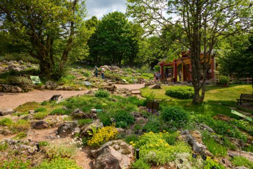 Guide Vert Michelin : le Jardin Remarquable du Haut Chitelet de Xonrupt-Longemer décroche sa première étoile !