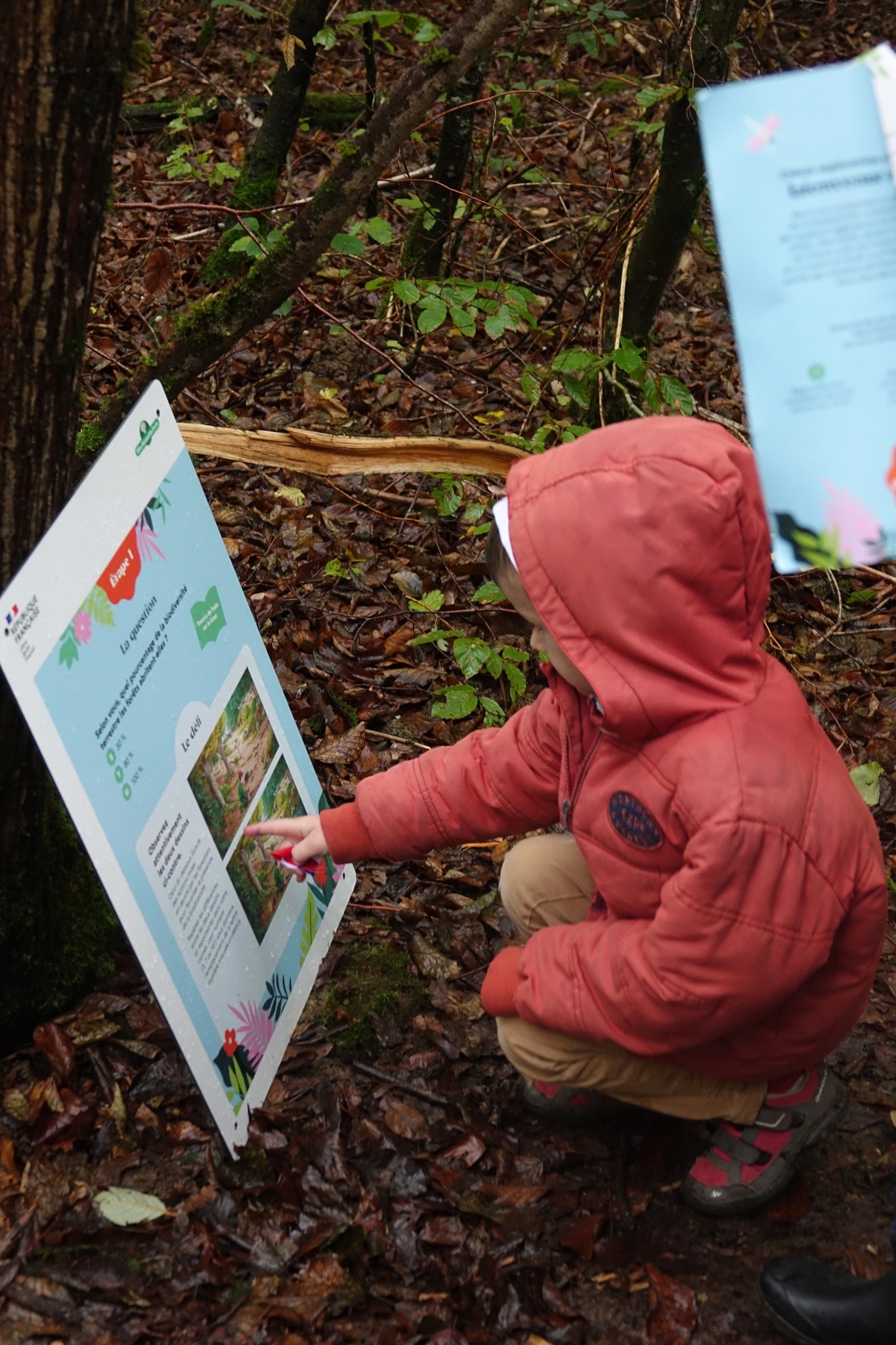 Les Journées de la Forêt à Thaon-les-Vosges.