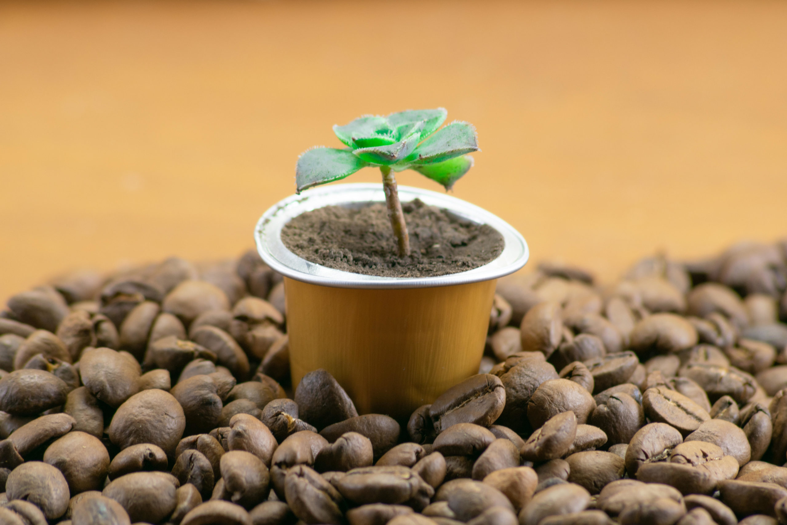 Ne jetez pas le marc dans vos capsule de café.