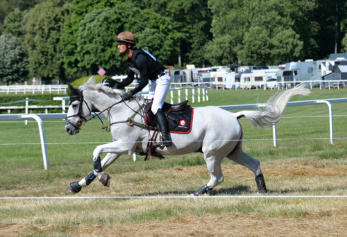 Équitation : 200 cavaliers attendus pour les Championnats et Critériums de dressage du Grand-Est à Vittel