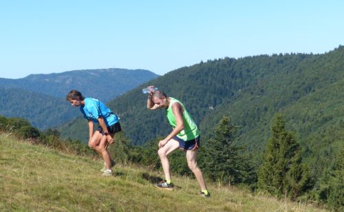 Trail des Hautes Vosges – THV