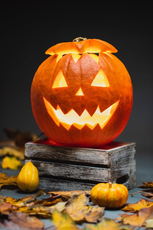 Halloween "sang" déchet organisé par Evodia le 27 octobre 2023 à Golbey