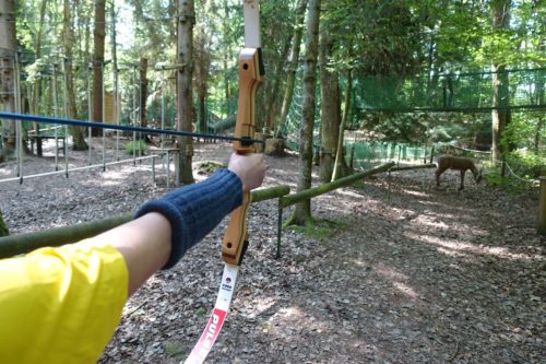 Une centaine d'archers attendus au concours de tir à l'arc 3D d'Épinal -  100% Vosges
