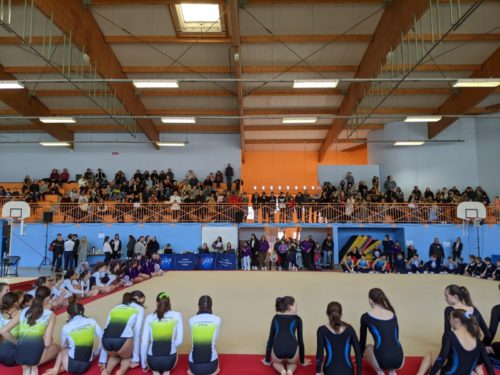 Tennis de table : Championnats de France vétérans à Saint-Dié-des