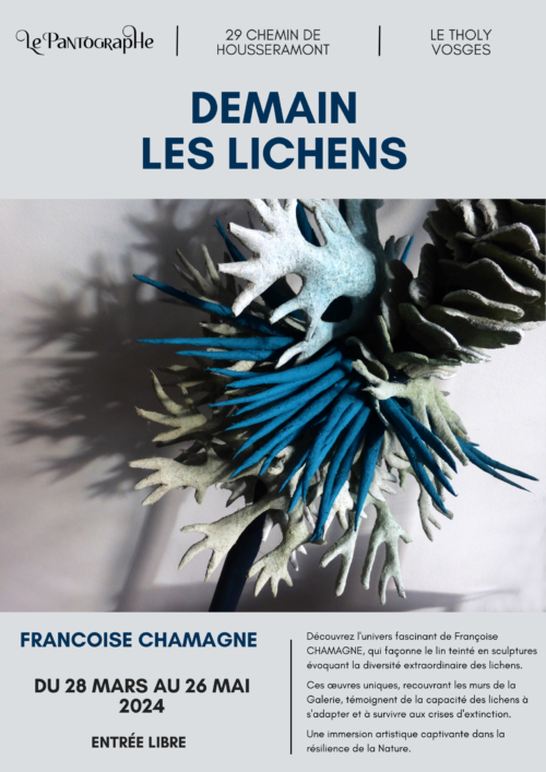 [EXPOSITION] Demain, les lichens – Françoise CHAMAGNE au Pantographe