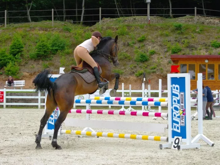100% Vosges