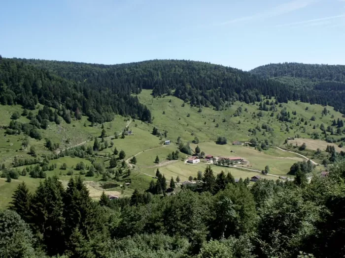 100% Vosges