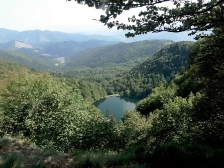 100% Vosges