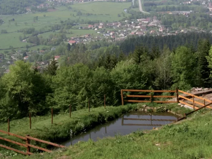100% Vosges