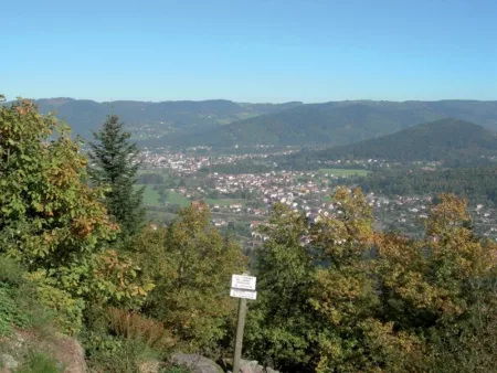 100% Vosges