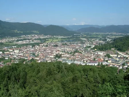 100% Vosges