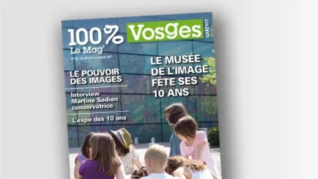 100% Vosges