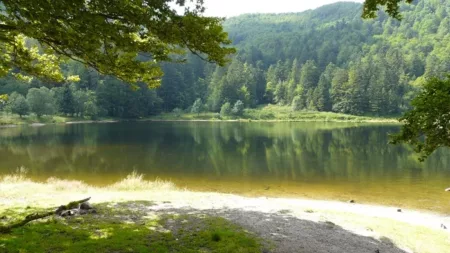 100% Vosges