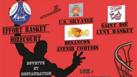 100% Vosges