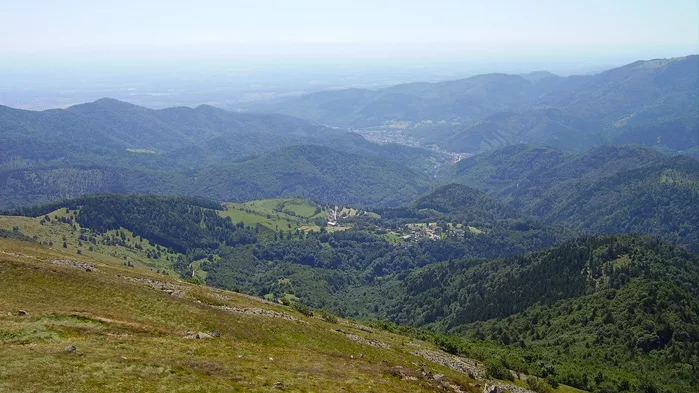100% Vosges