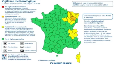 100% Vosges