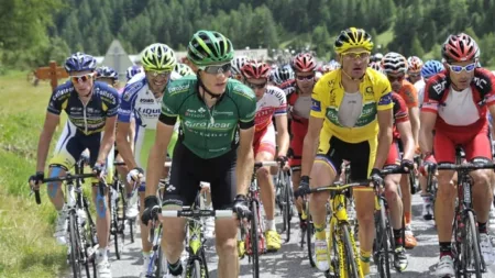 100% Vosges
