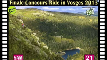 100% Vosges