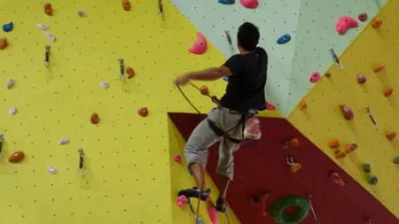 100% Vosges