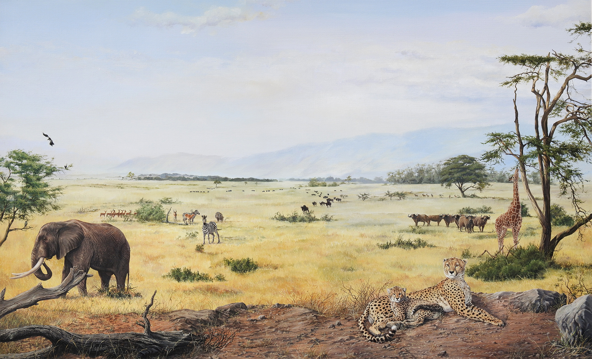 2-Serengeti