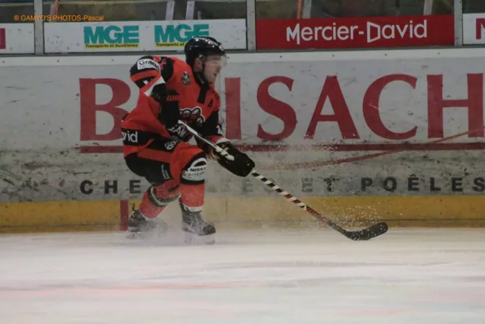 100% Vosges