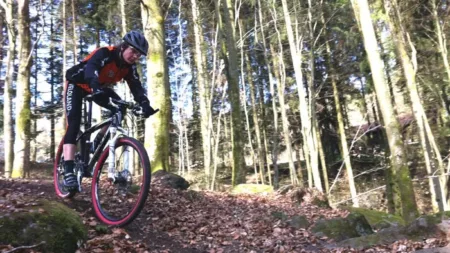 100% Vosges
