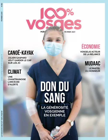 100% Vosges N° 252