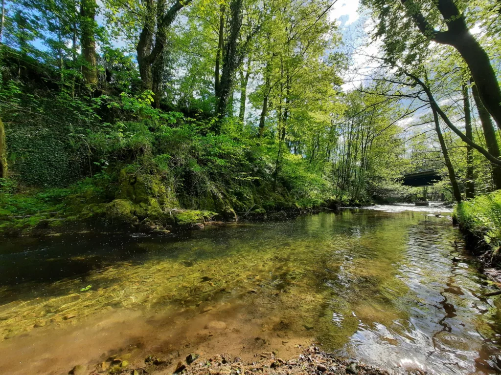 Les pluies de juillet dans les Vosges ont rechargé les nappes phréatiques et font ainsi reculer la sécheresse