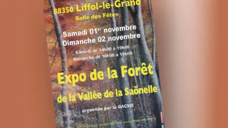 100% Vosges