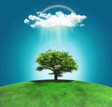 3D render of a grassy landscape with a tree, rainbow and rainclo