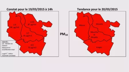 100% Vosges