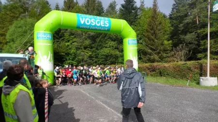 100% Vosges