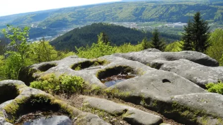 100% Vosges