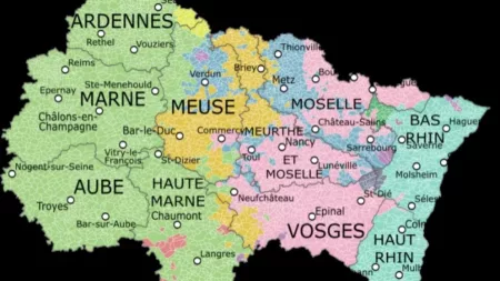 100% Vosges