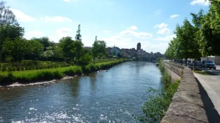 100% Vosges