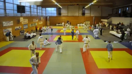 100% Vosges