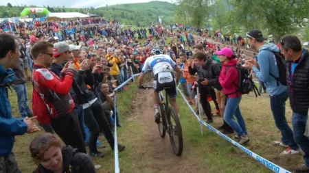 100% Vosges