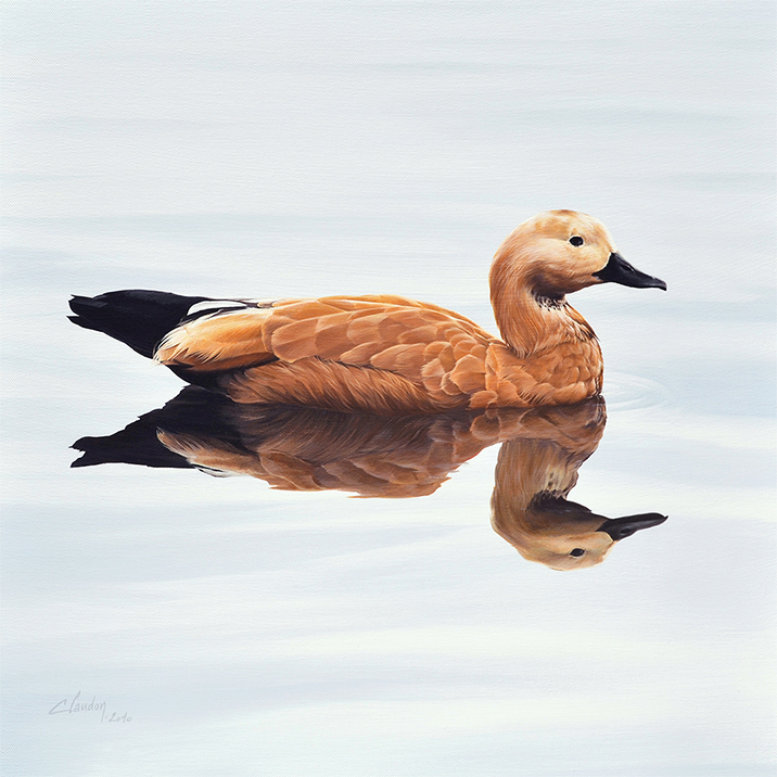 8-Reflet