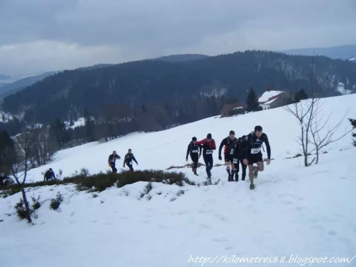 100% Vosges