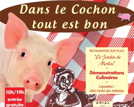 100% Vosges