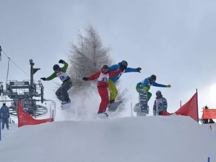 100% Vosges
