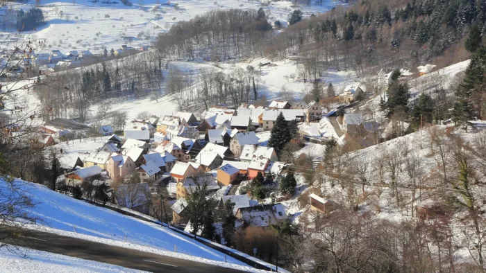 100% Vosges