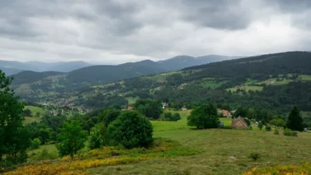 100% Vosges