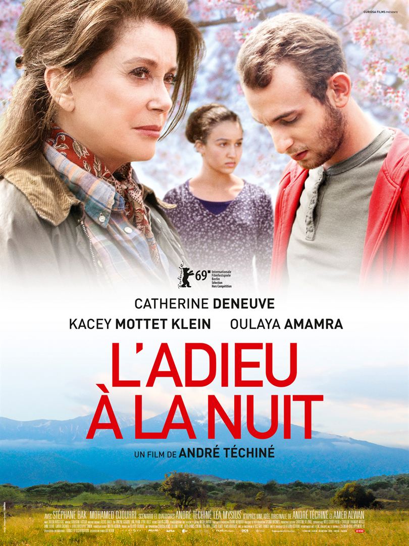 Affiche-LAdieuALaNuit