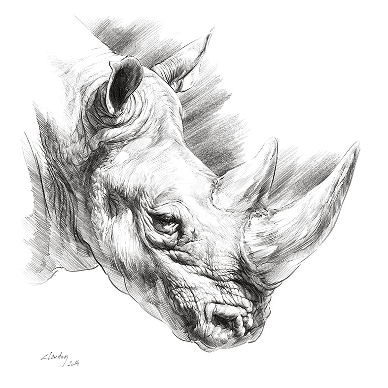 Big Five Rhino