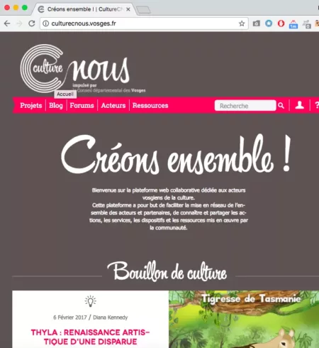 100% Vosges